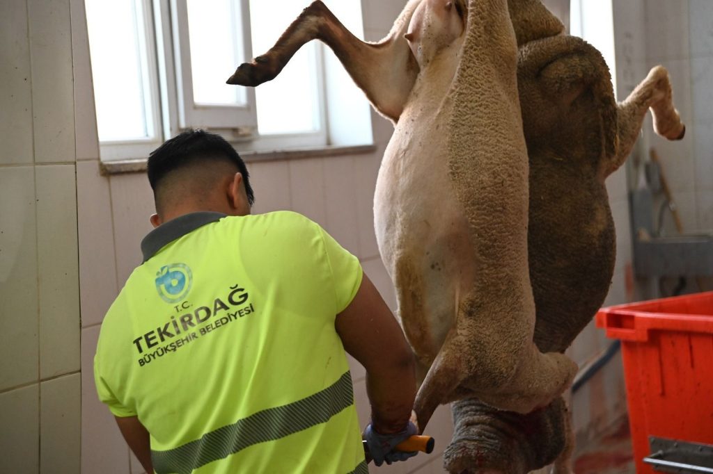 BÜYÜKŞEHİR MEZBAHALARINDA KURBAN KESİM MESAİSİ SÜRÜYOR