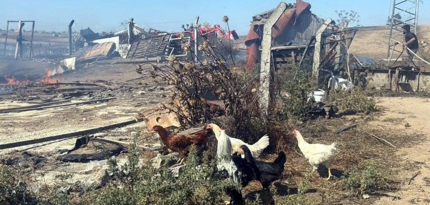 BAŞKAN MÜGE YILDIZ TOPAK: ‘ÜRETİCİMİZİN YARASINI BİRLİKTE SARACAĞIZ!’